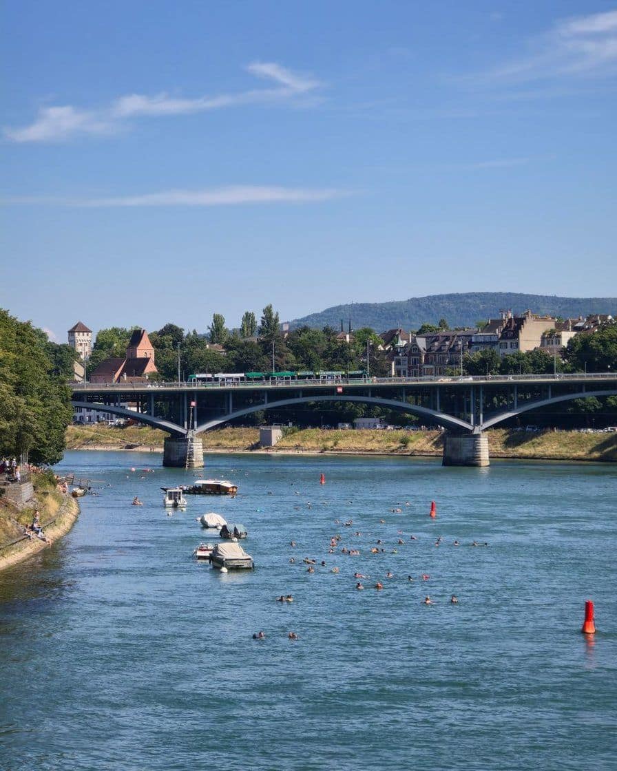Der Rhein in Basel an einem Sommertag mit Schwimmern und kleinen Booten unter einer Brücke