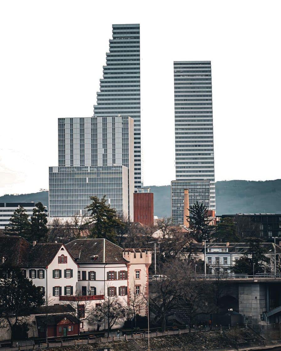 Die beiden Roche-Türme über den Dächern von Basel, im Vordergrund alte Häuser